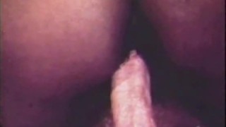 Vintage Interracial Porn 1970s

